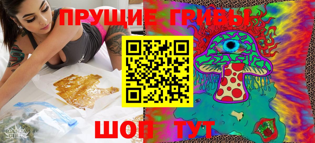 Камышин  Псилоцибиновые грибы Psilocybe  купить  сайты  Вход с VPN 