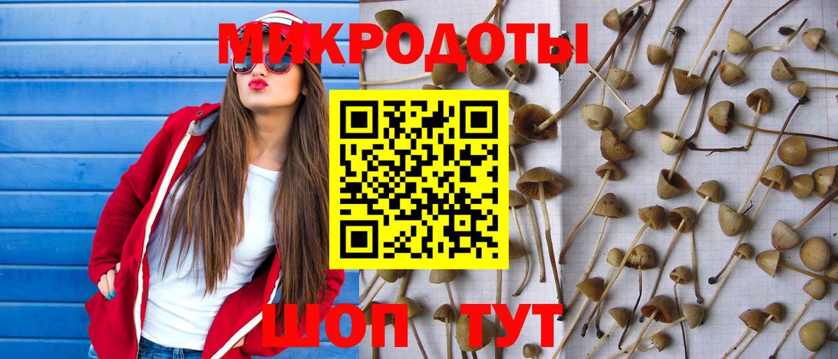 МДМА  Alpha PVP СОЛЬ кристаллы  Мефедрон кристаллы  ГАШИШ  Камышин  МАРИХУАНА  Вход с VPN 