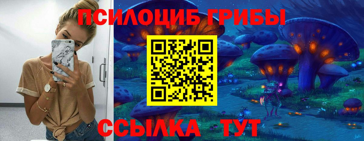 Псилоцибиновые грибы Psilocybine cubensis Камышин